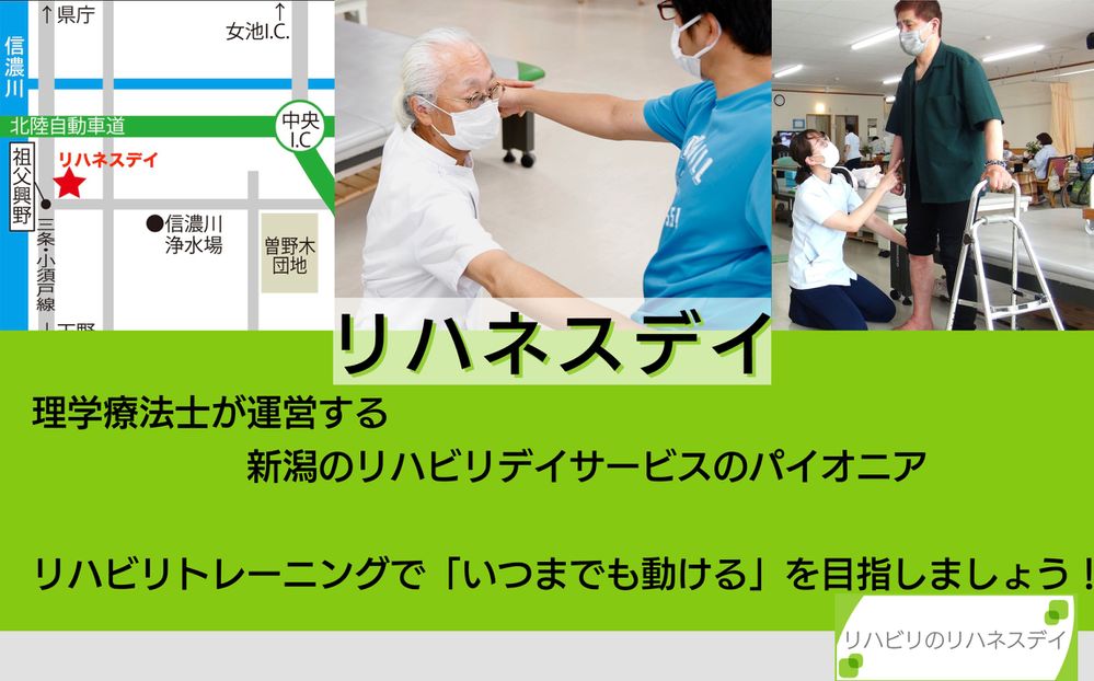リハネスデイ